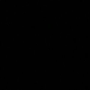 Meet your Posher, Phoebe